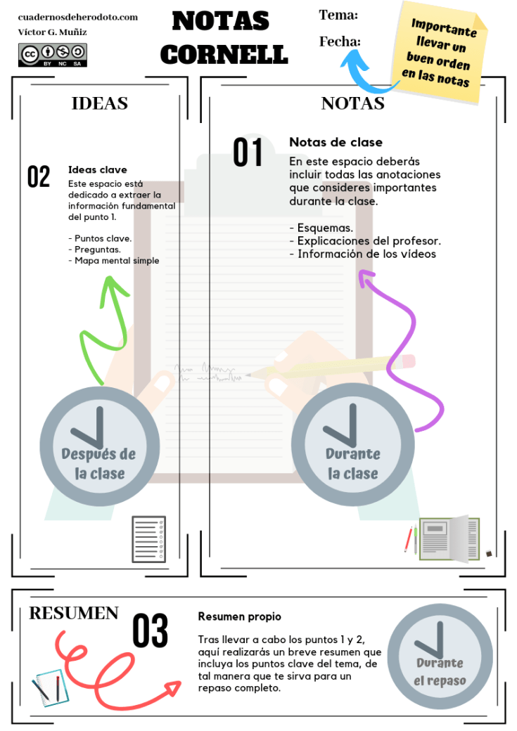Notas Cornell - explicación.png
